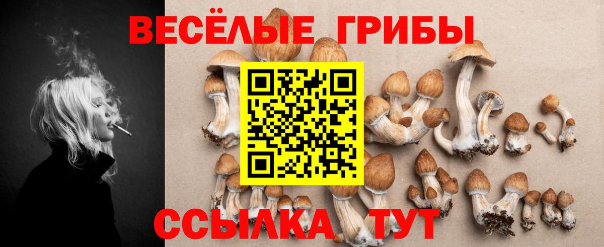 Псилоцибиновые грибы MAGIC MUSHROOMS  Вход с VPN  Рассказово 